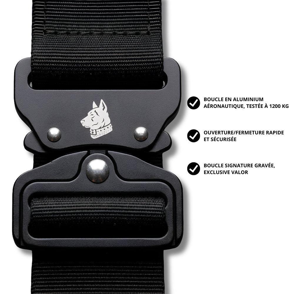 Collier Valor