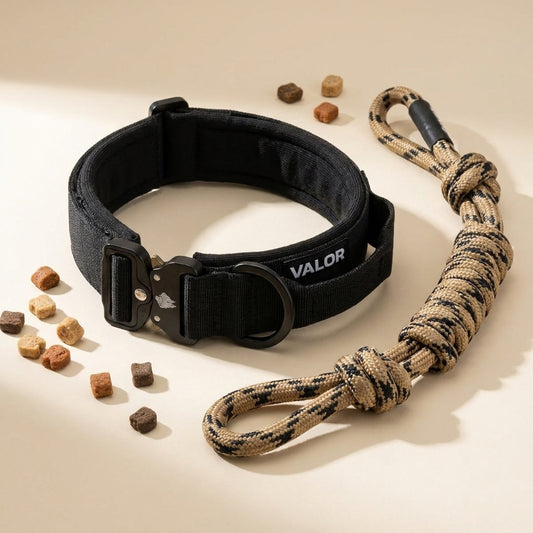 Collier Valor