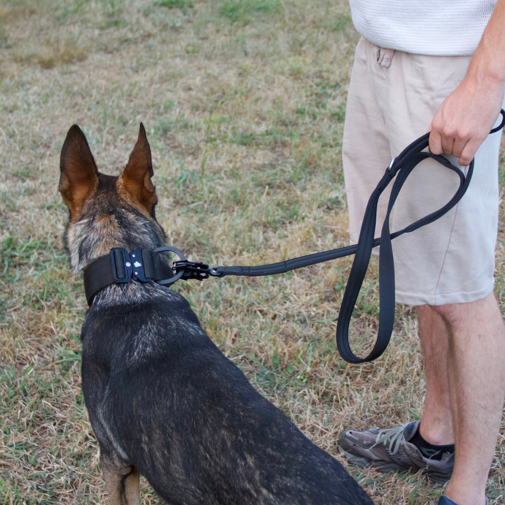 Idéale pour les chiens réactifs. Double poignée de sécurité