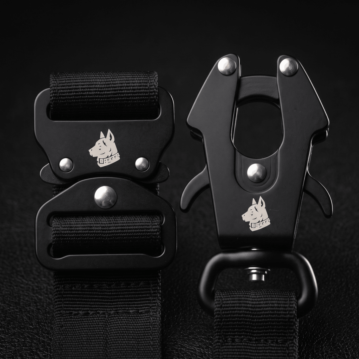 Collier + Laisse