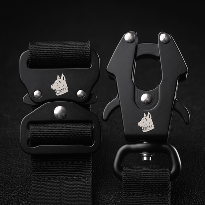 Collier + Laisse