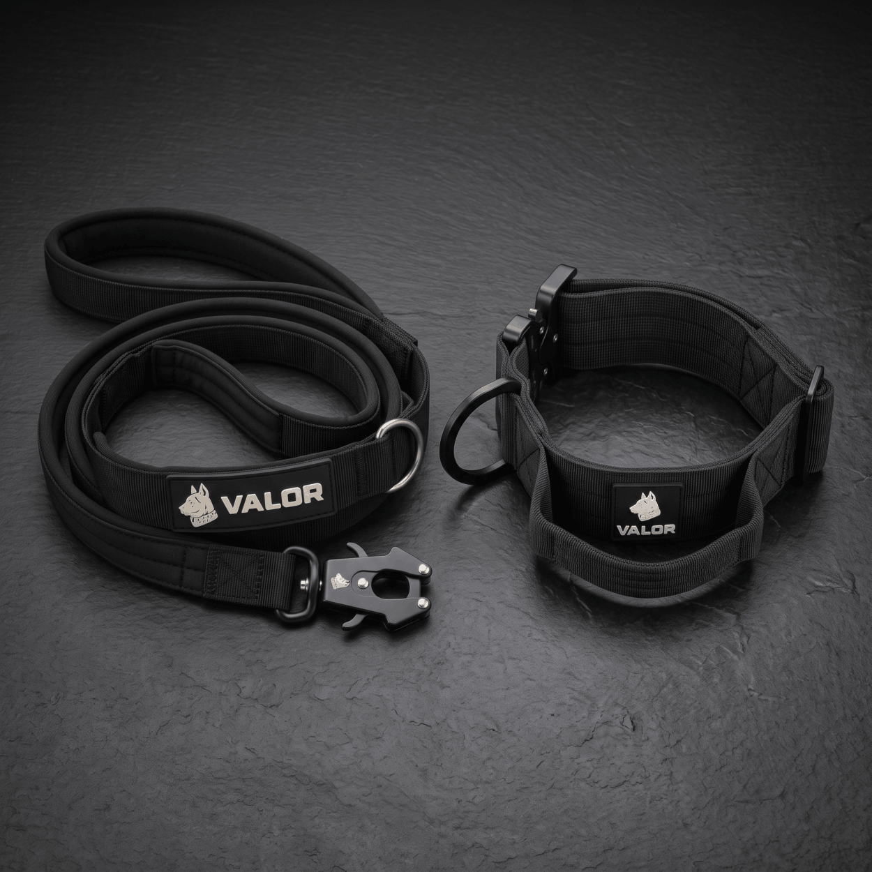 Collier + Laisse